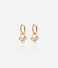 Boucles d'oreilles Rossi (Acier doré)