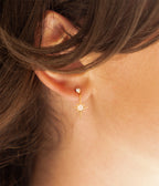 Boucles d'oreilles Dresden (Acier)
