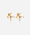 Boucles d'oreilles Molini (Acier doré)