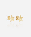 Boucles d'oreilles Delta (Acier doré)