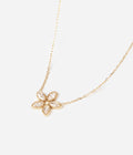 Collier Demo (Acier doré)